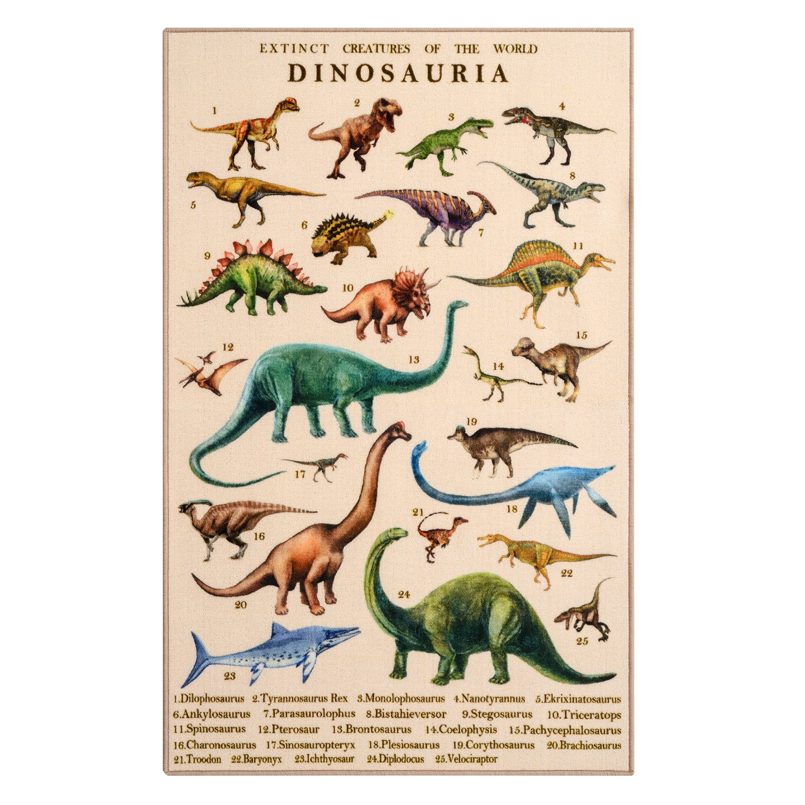 Boom Wild W003 Dinosaur Kids Rug